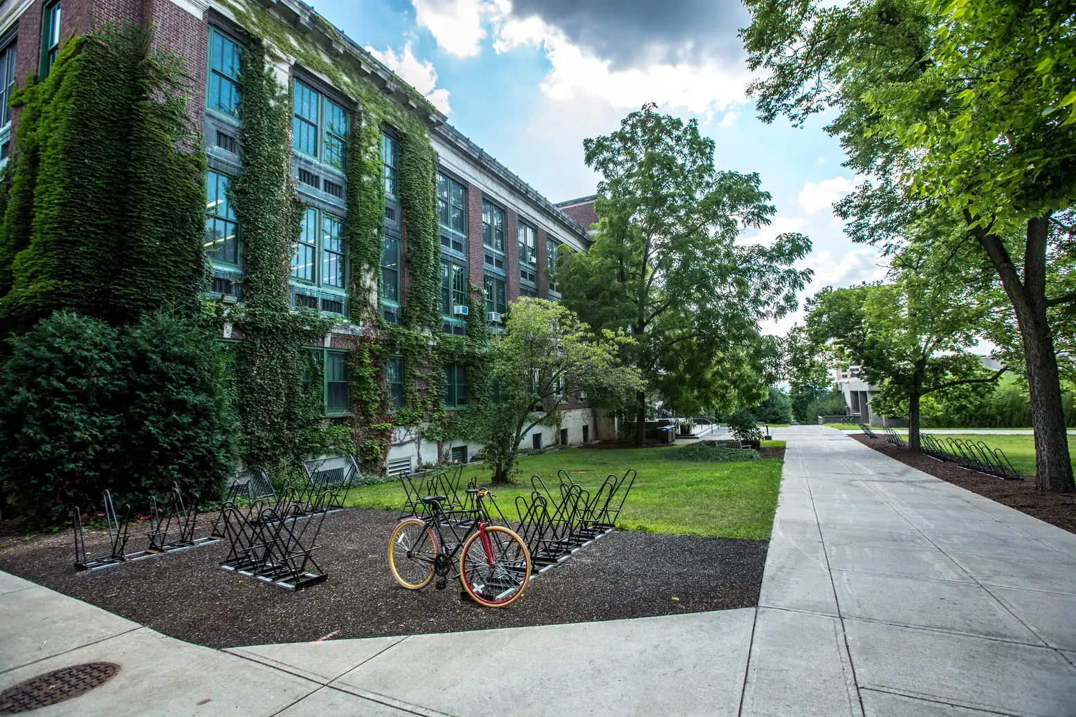 An ivy covered school building beside a tree lined path with bicycles parked on the grass